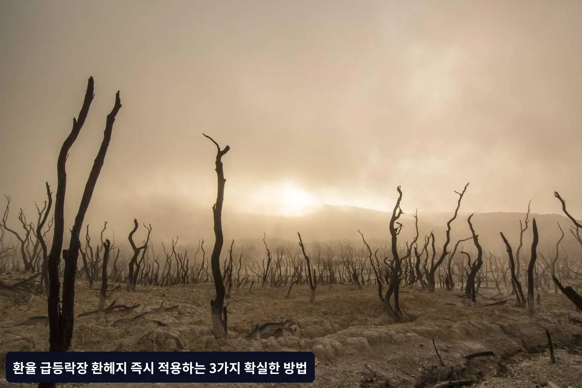 전문가가 추천하는 실전 팁