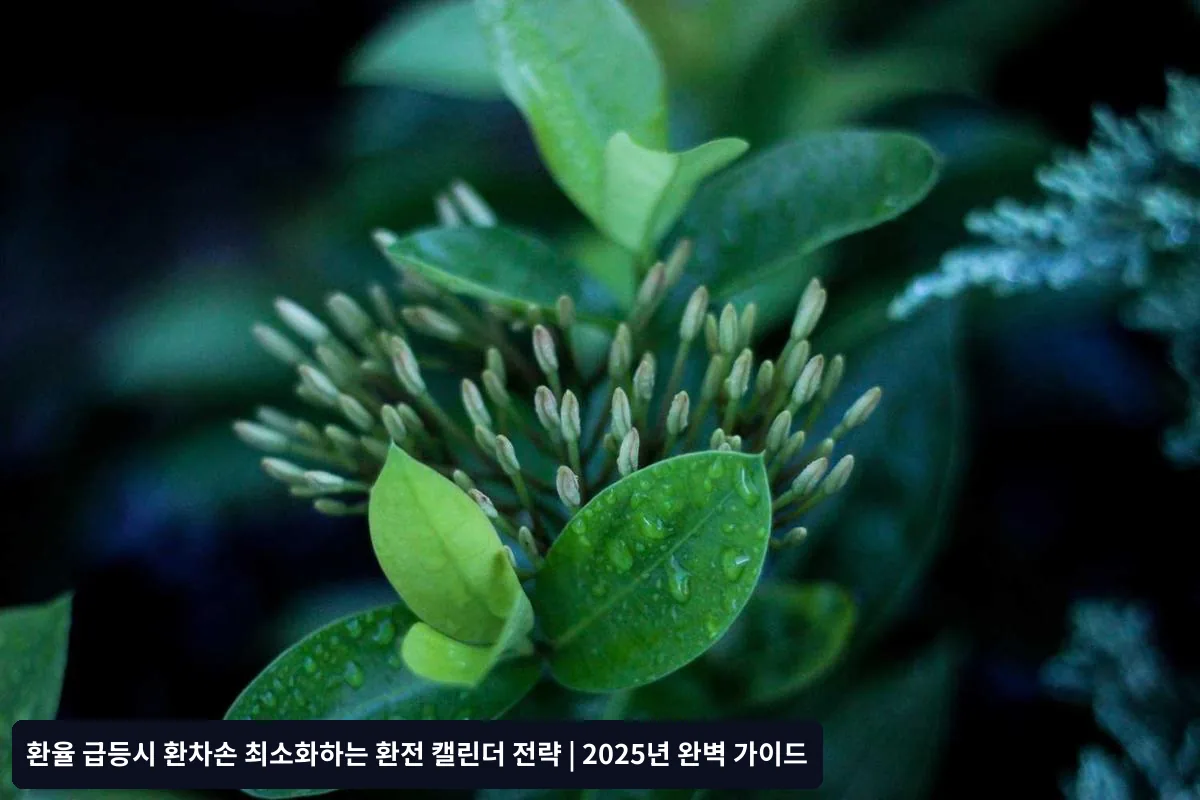 단기 급등 상황 (1-2주)