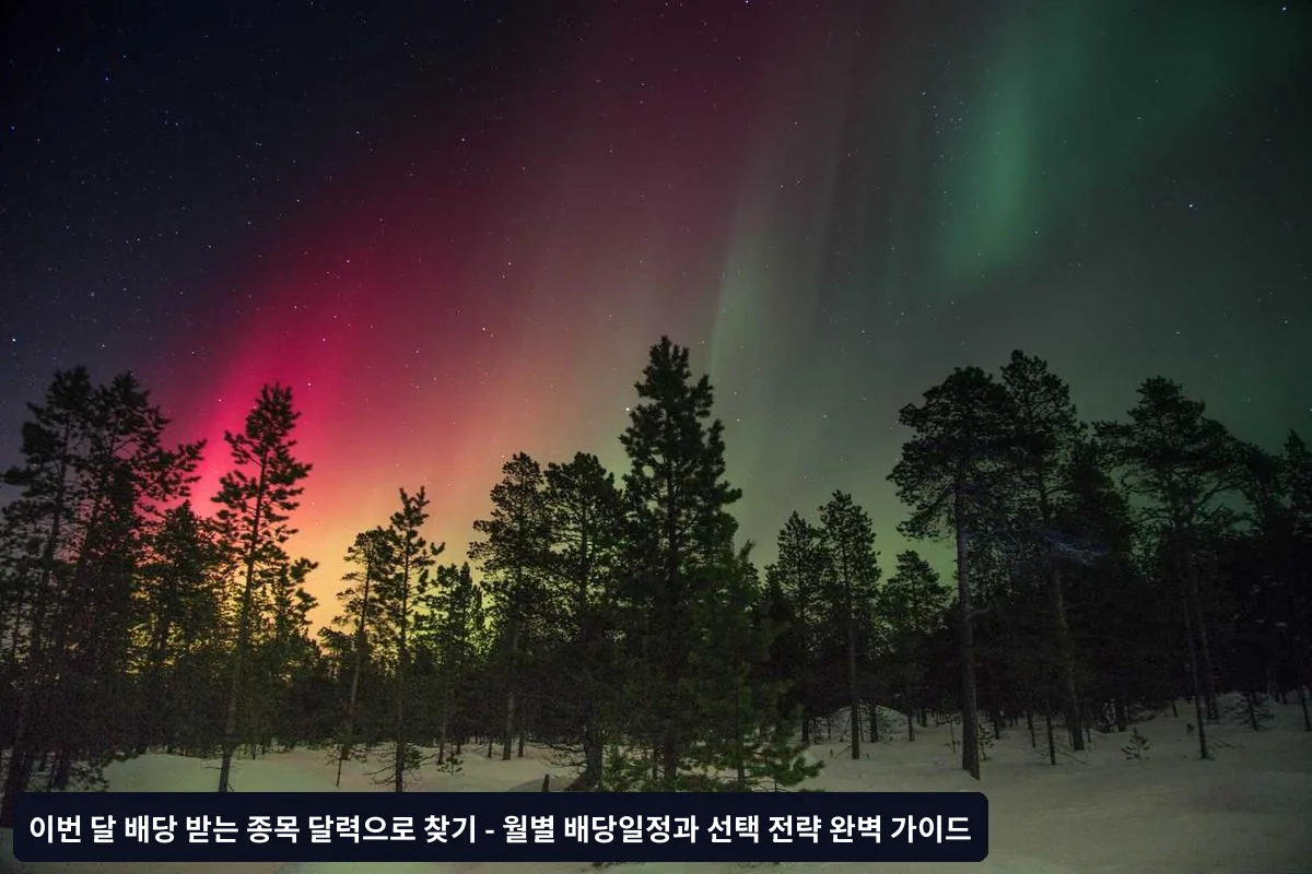 신뢰할 만한 배당 달력 정보원