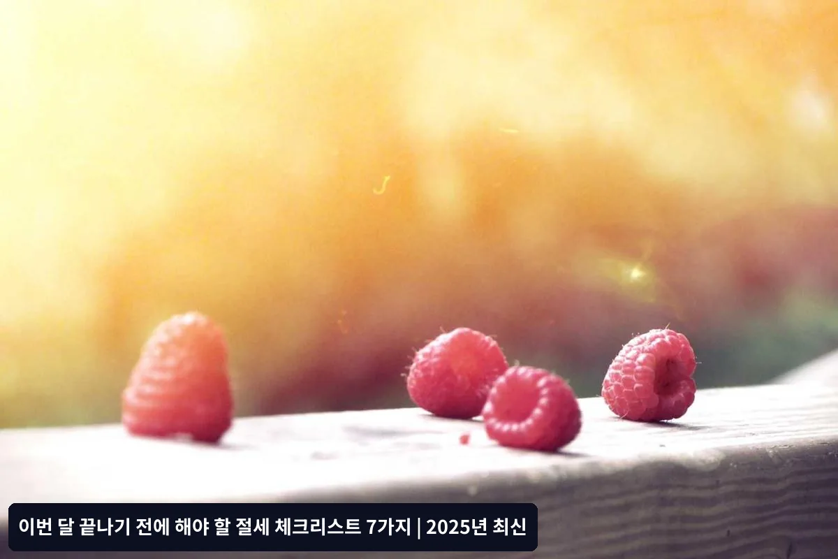 월별 절세 관리를 위한 실행 가이드
