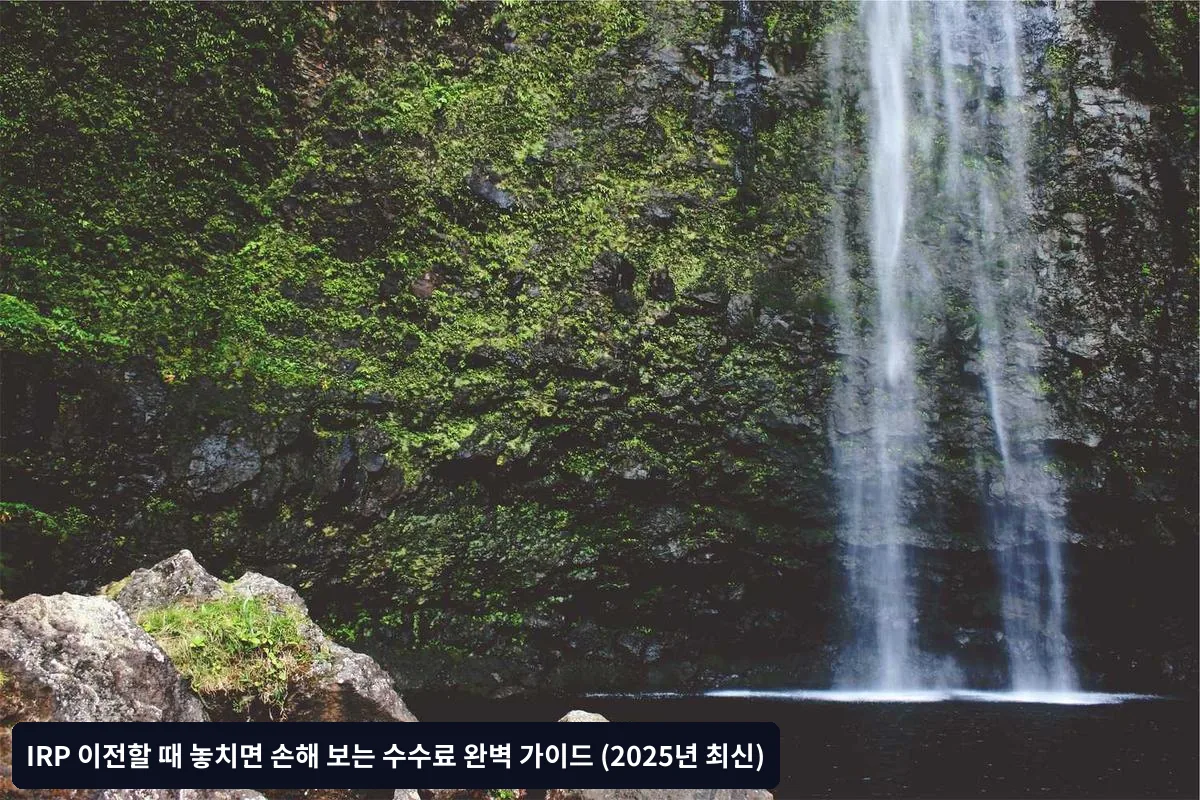 IRP 이전 시 발생하는 주요 수수료 종류