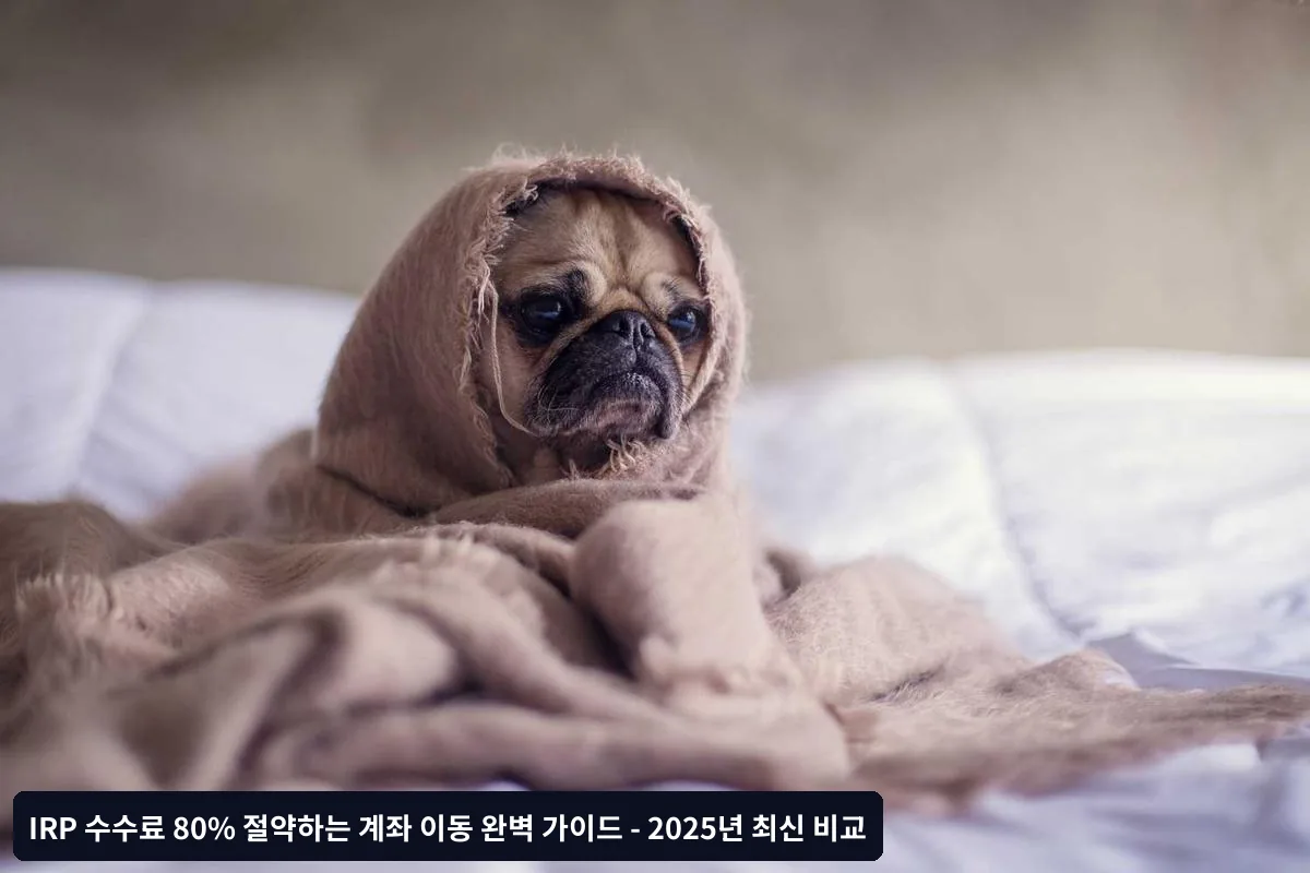 수수료 절약을 위한 최적의 IRP 계좌는?