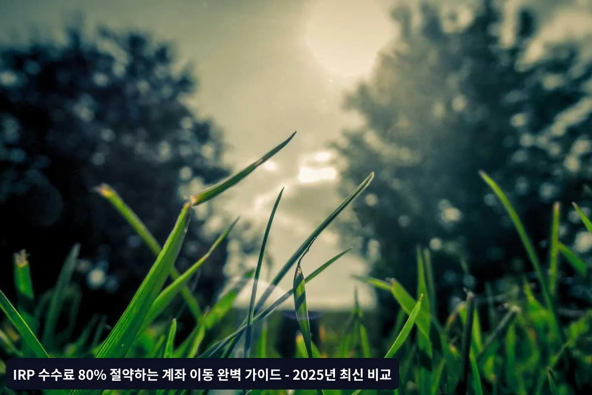 자주 묻는 질문 (FAQ)