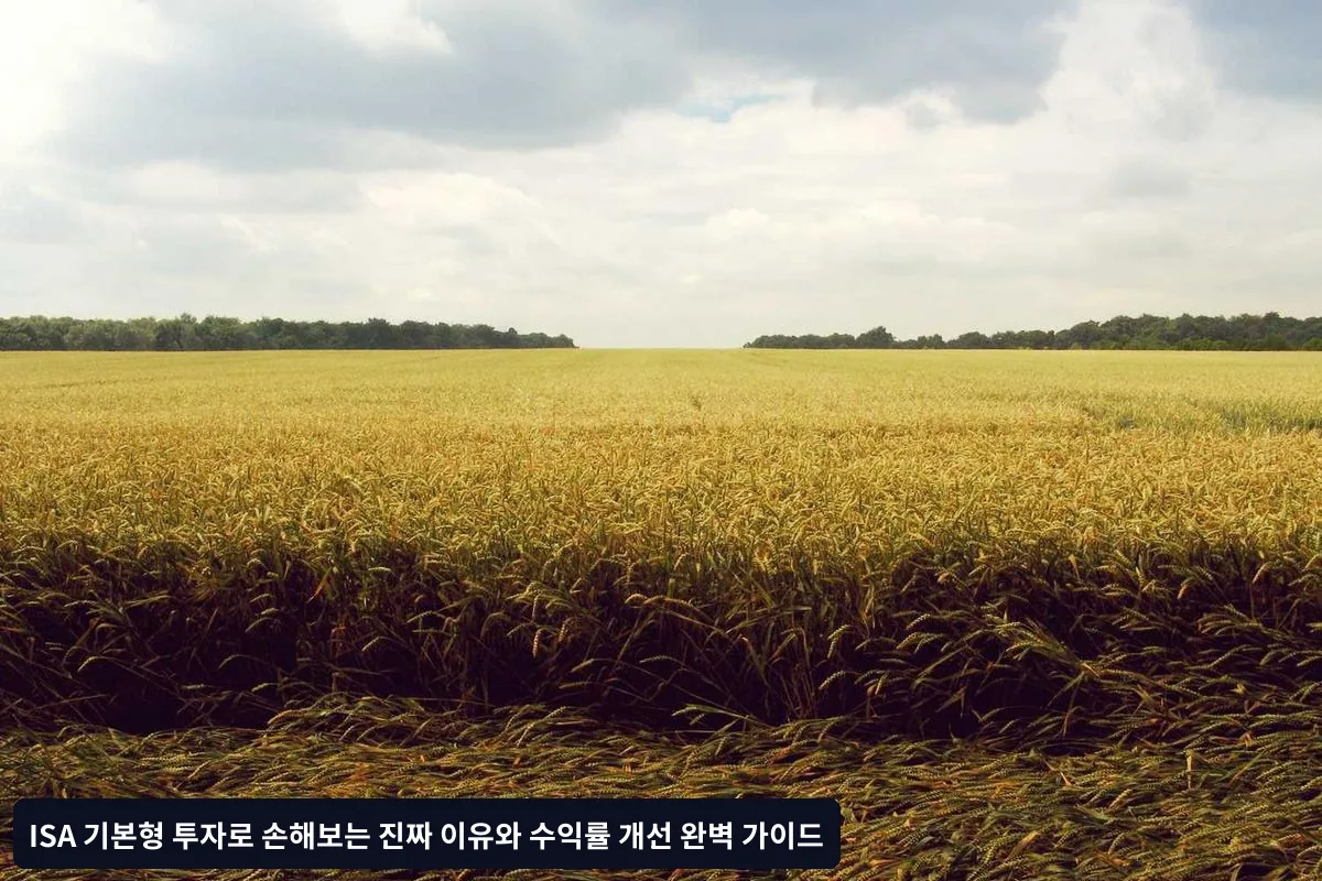 잘못된 상품 선택이 가져오는 문제점