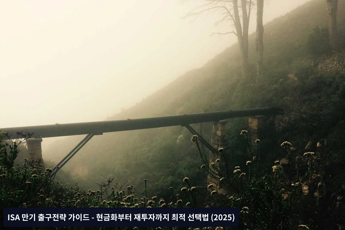 급한 자금이 필요한 경우