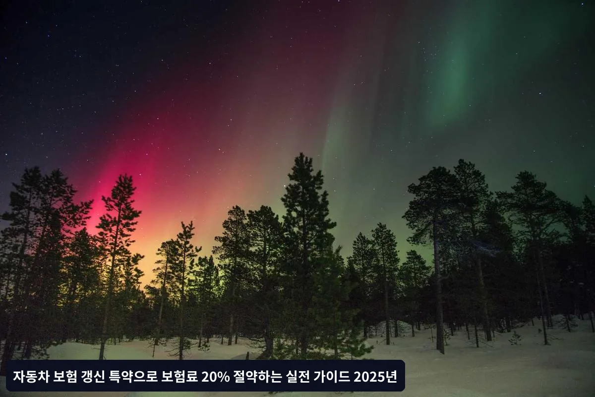 주요 보험사별 특약 특징