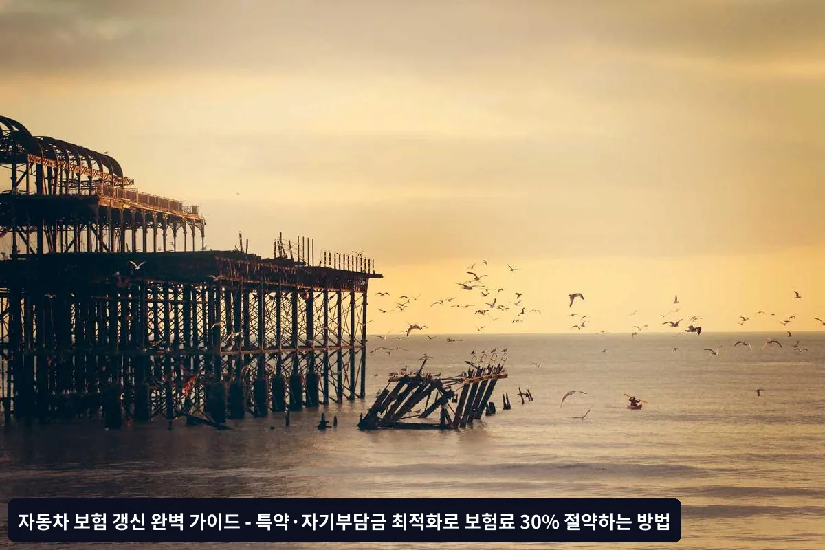 보험사별 갱신 전략과 변경 시점
