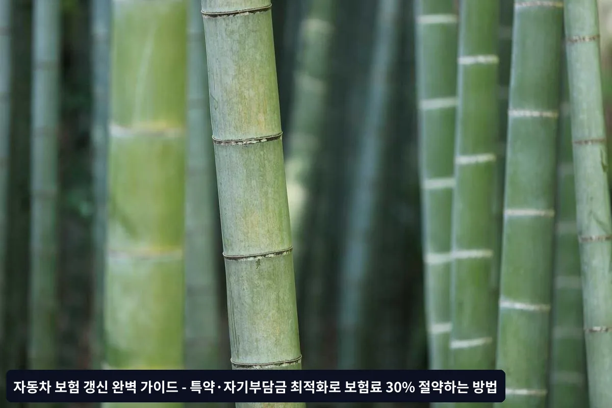 갱신 전 필수 확인사항