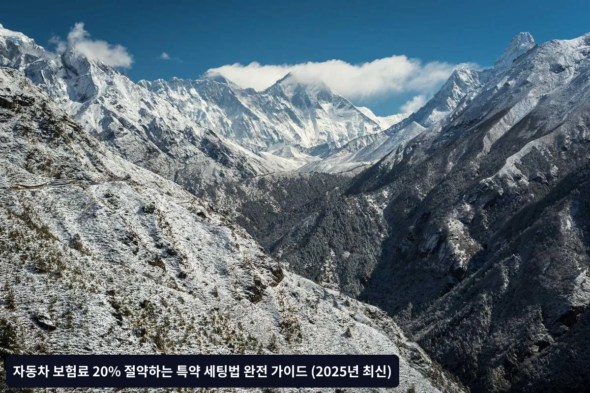 과도한 면책금 설정의 위험