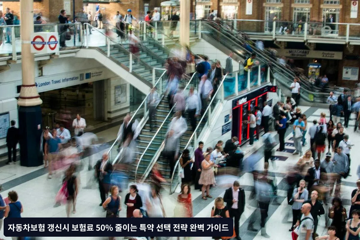 단계별 보험료 절약 실행 가이드