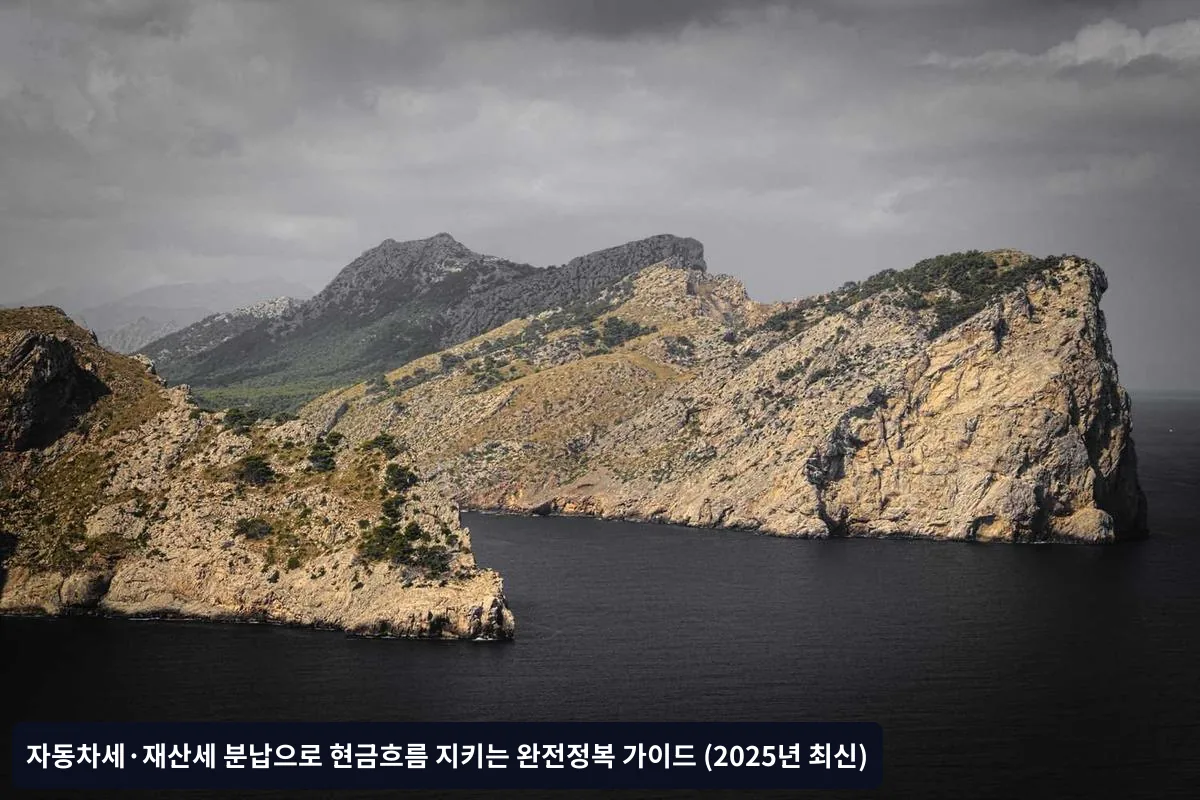 분납 신청시 자주 묻는 질문 (FAQ)
