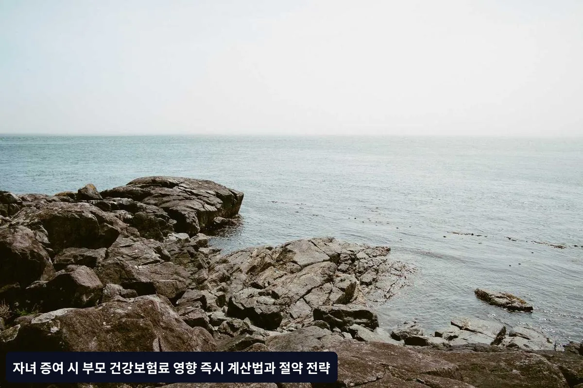 증여 전후 건강보험료 즉시 계산 방법