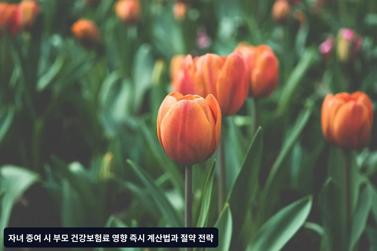 연령별 맞춤 증여 전략