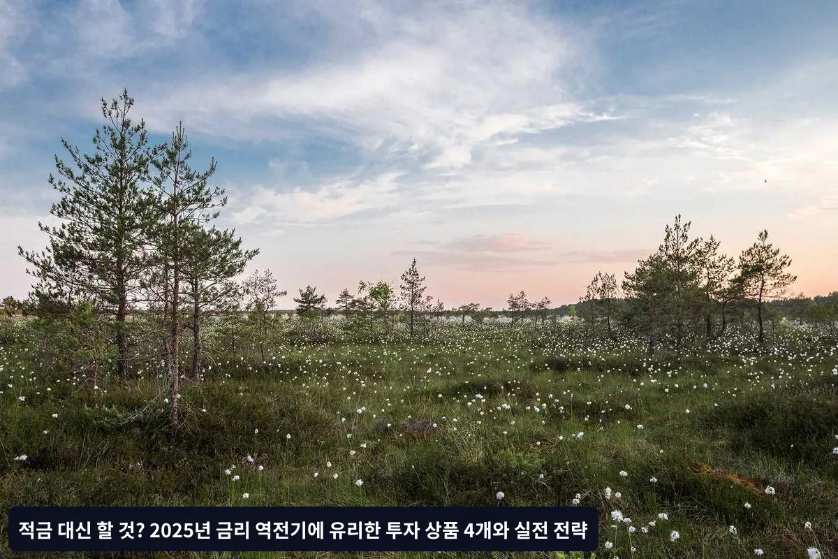 월별 투자 실행 체크리스트