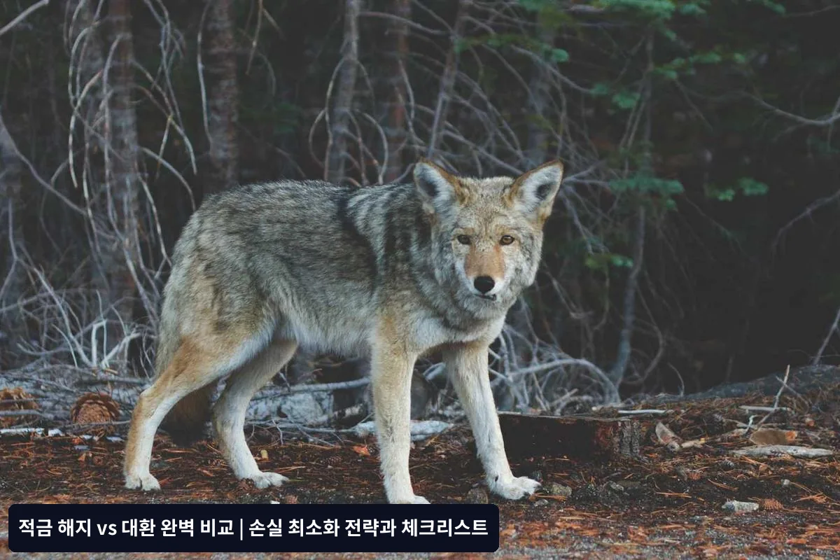 적금 대환이란? 어떻게 활용할 수 있을까요?