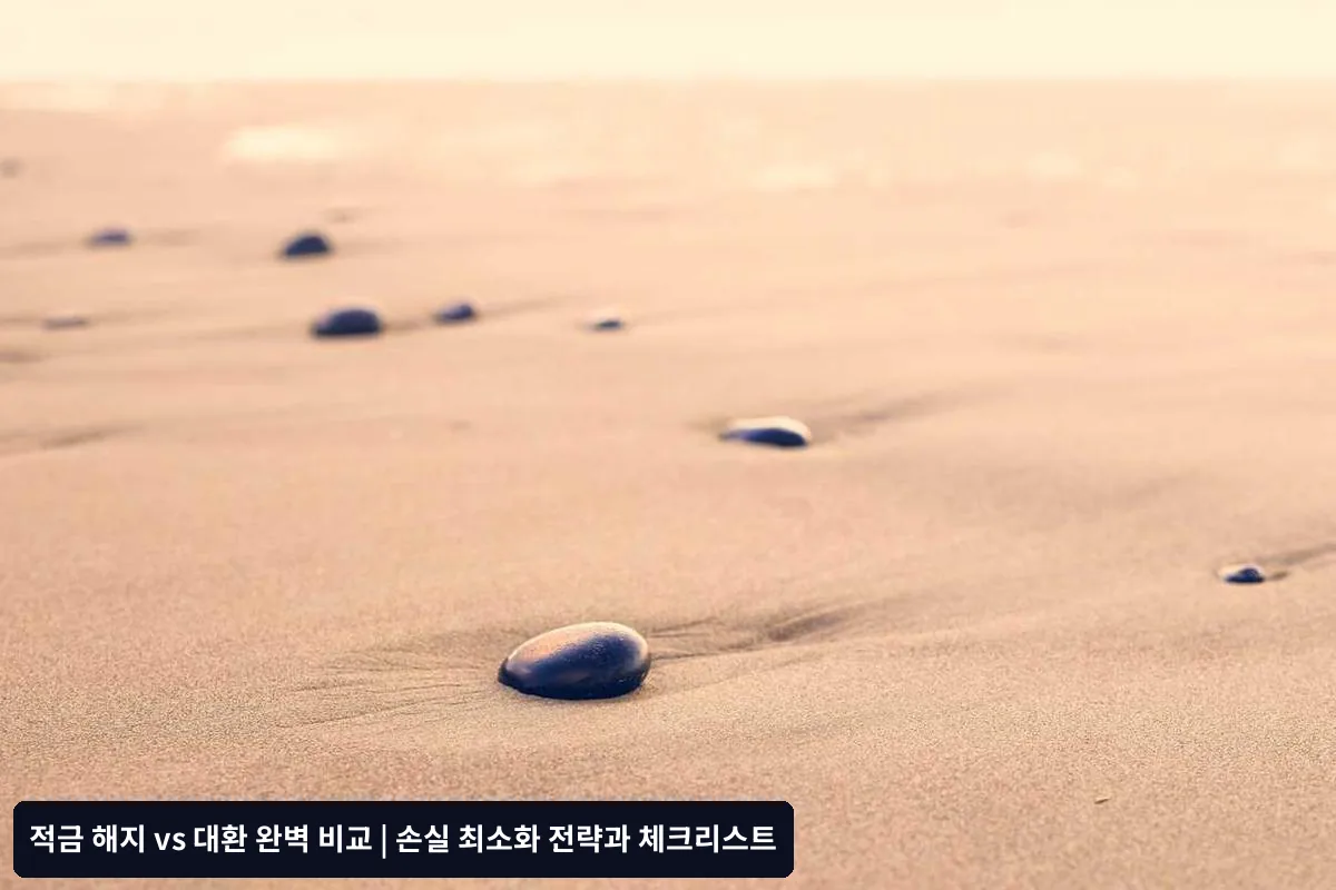주의사항과 리스크 관리