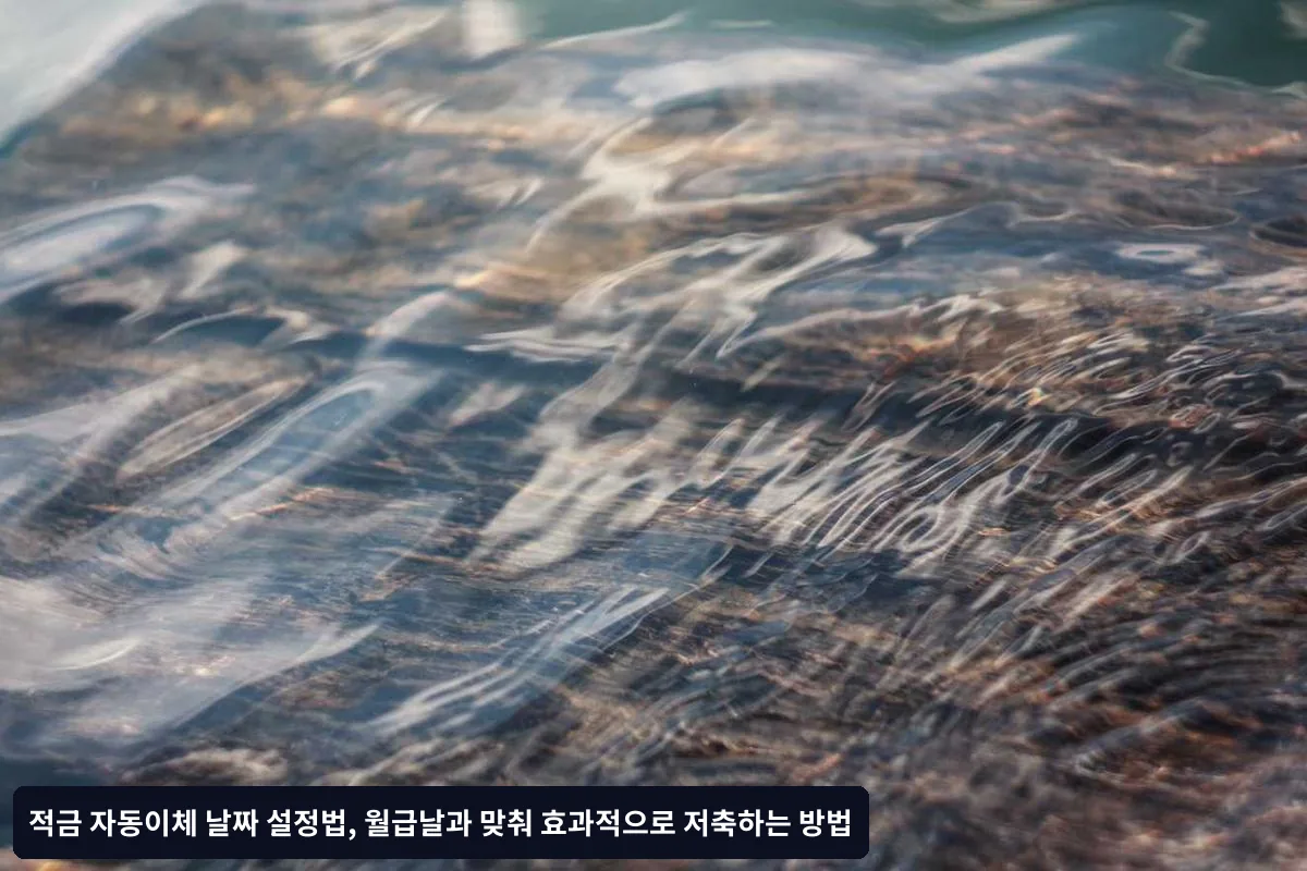 효과적인 저축을 위한 추가 팁