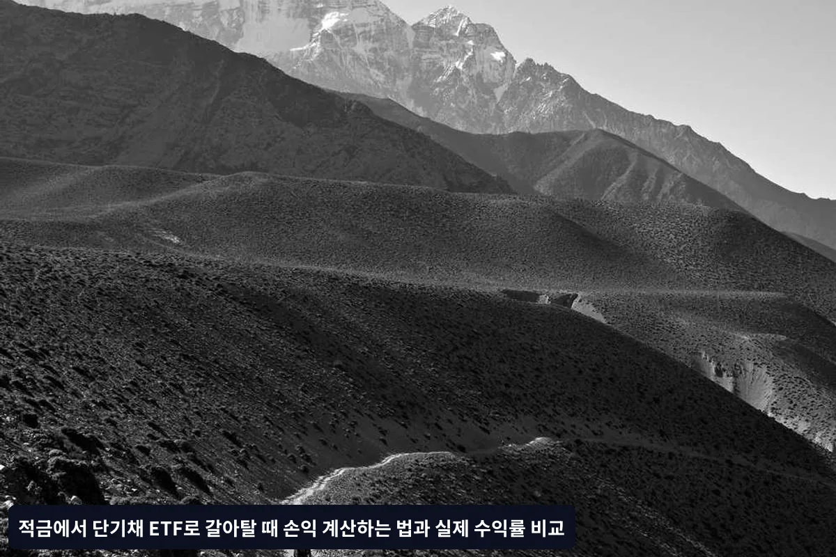 갈아타기 시 주의사항과 리스크 관리