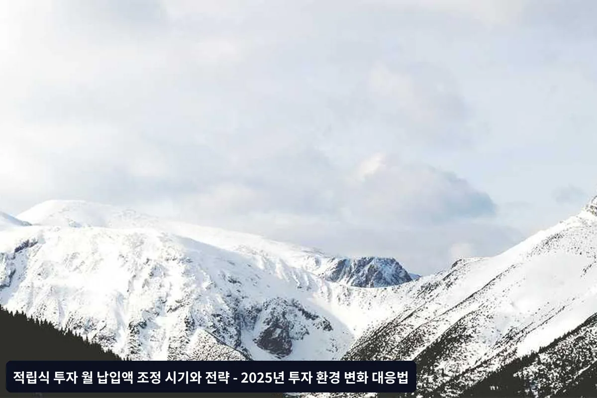 월 납입액 조정 체크리스트