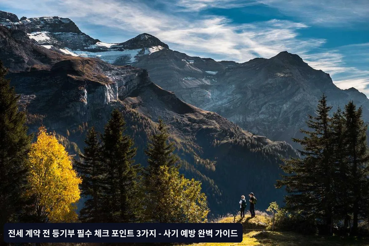 전문가 조언이 필요한 경우