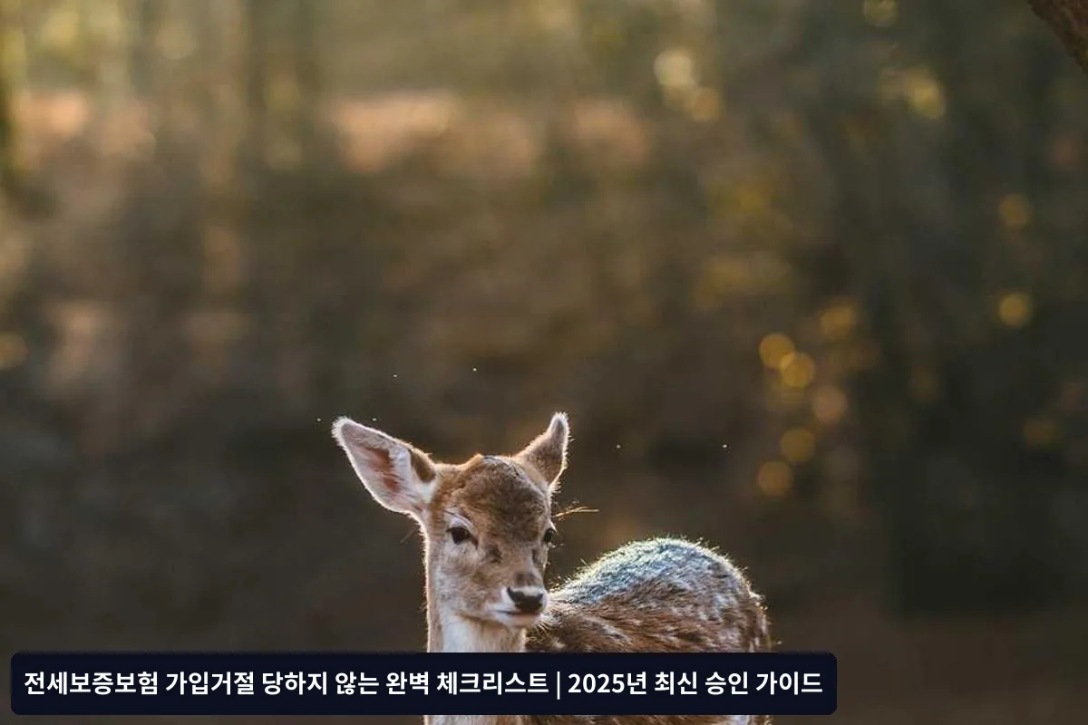 보험사별 승인 기준 차이점과 선택 전략