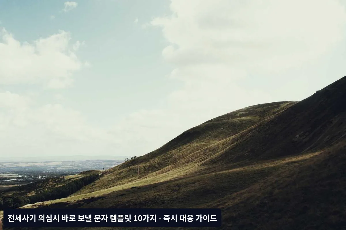 문자 발송과 동시에 해야 할 필수 조치