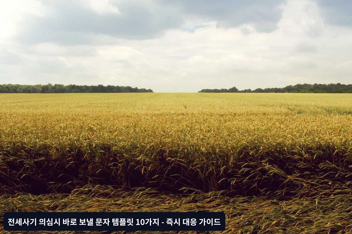전문가가 알려주는 문자 대응 성공률 높이는 팁