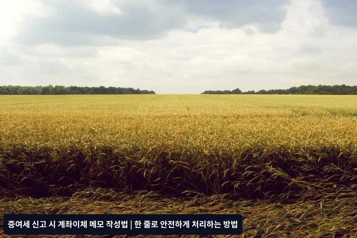 세무서가 인정하는 안전한 계좌이체 메모 작성법