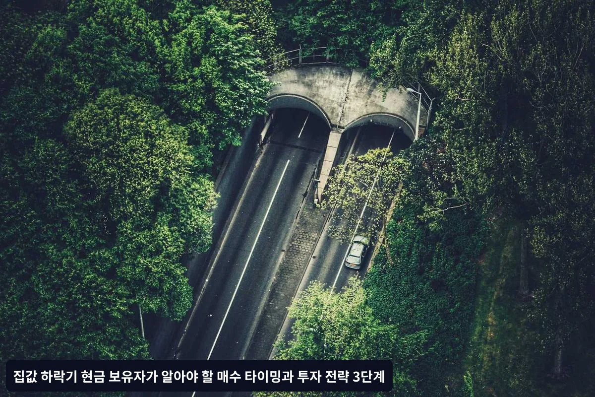 1단계: 시장 바닥 신호 포착하기 - 매수 타이밍 판단법