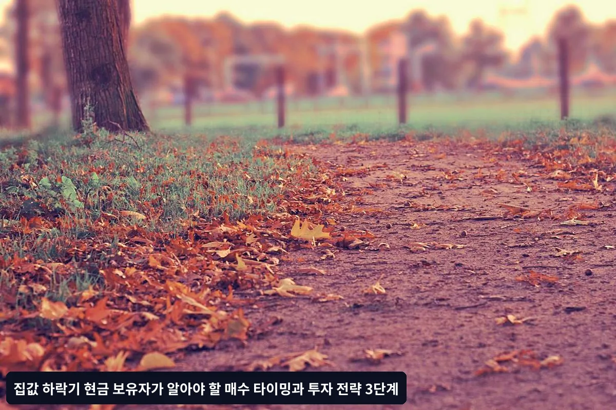 자주 묻는 질문(FAQ)