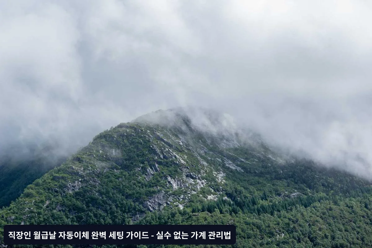 4계좌 시스템 운영법