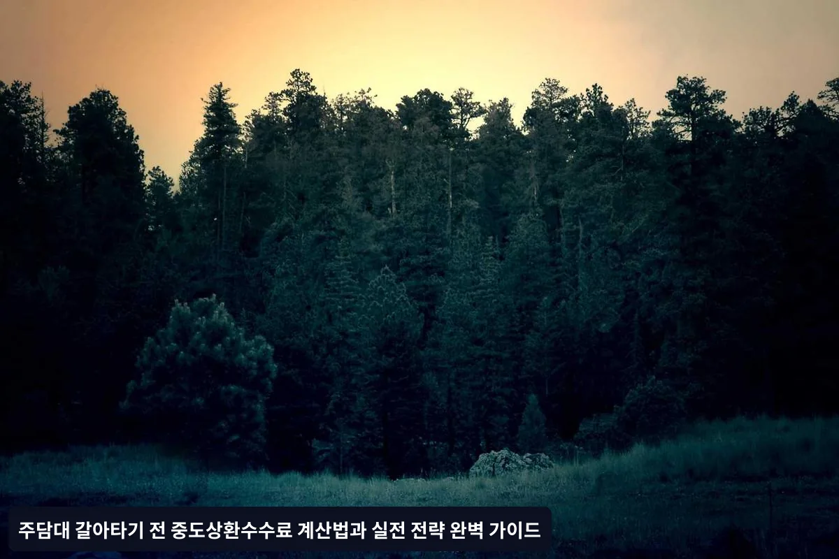 2025년 주담대 시장 전망과 갈아타기 전략