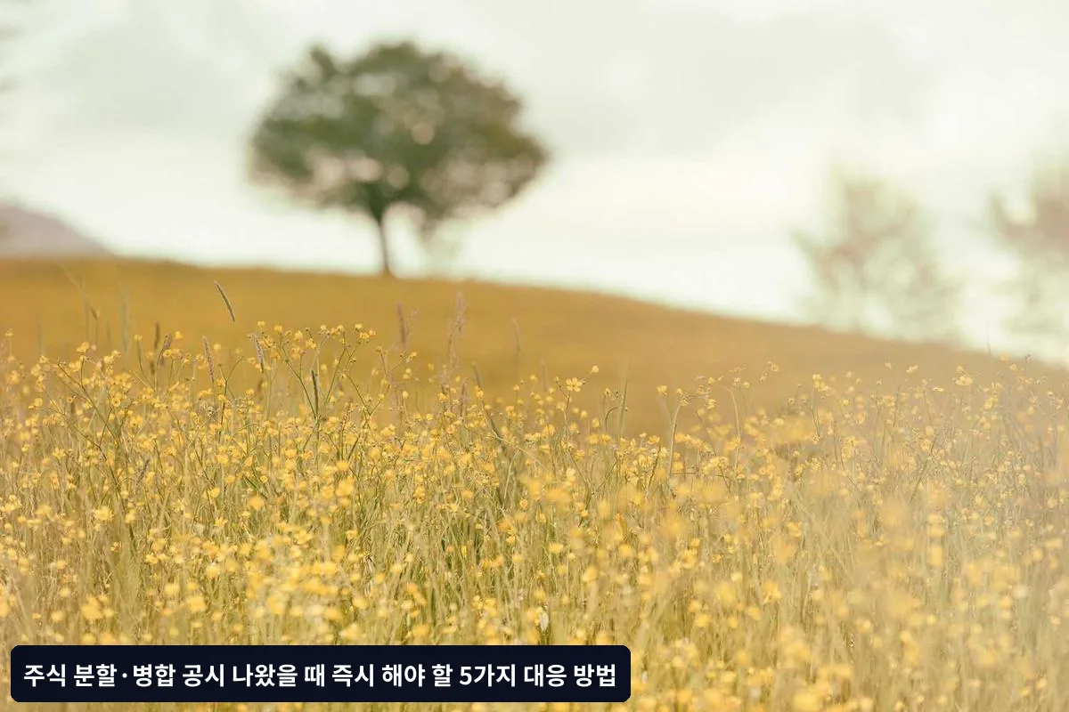 공시 확인 직후 체크리스트