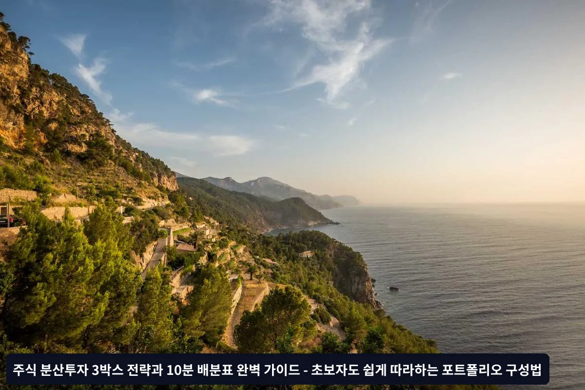세금 효율성 고려