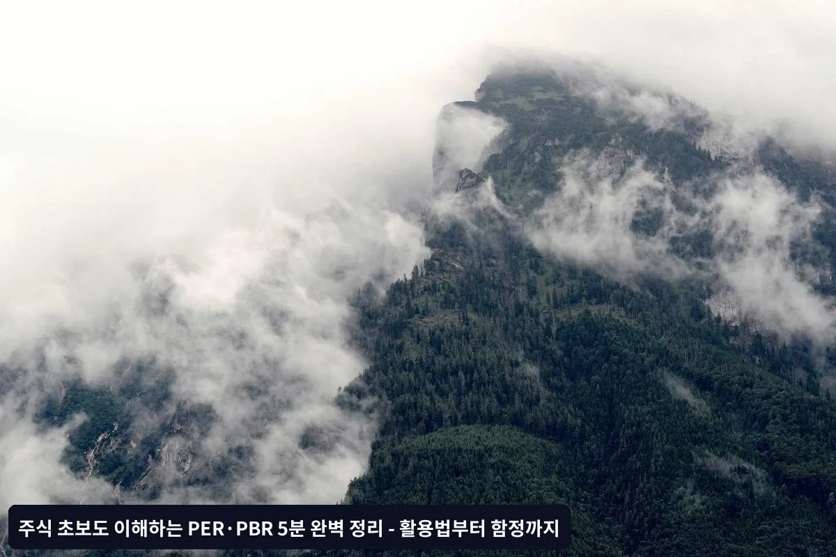 PBR(주가순자산비율)의 진짜 의미