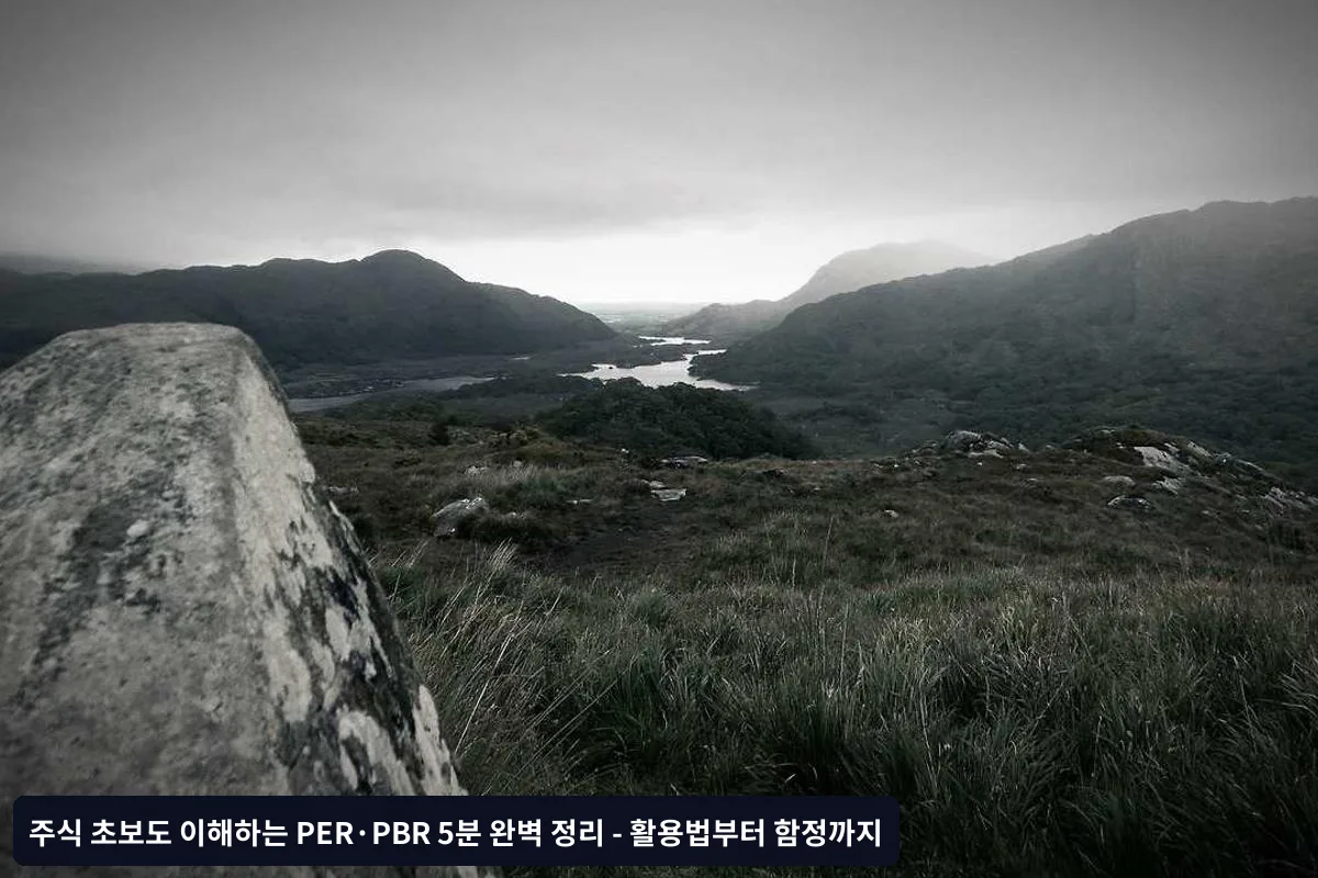 실전 체크리스트: 투자 전 필수 확인사항
