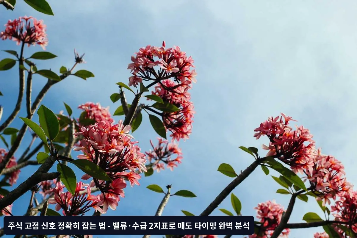 섹터별 고점 신호 특성과 대응 전략