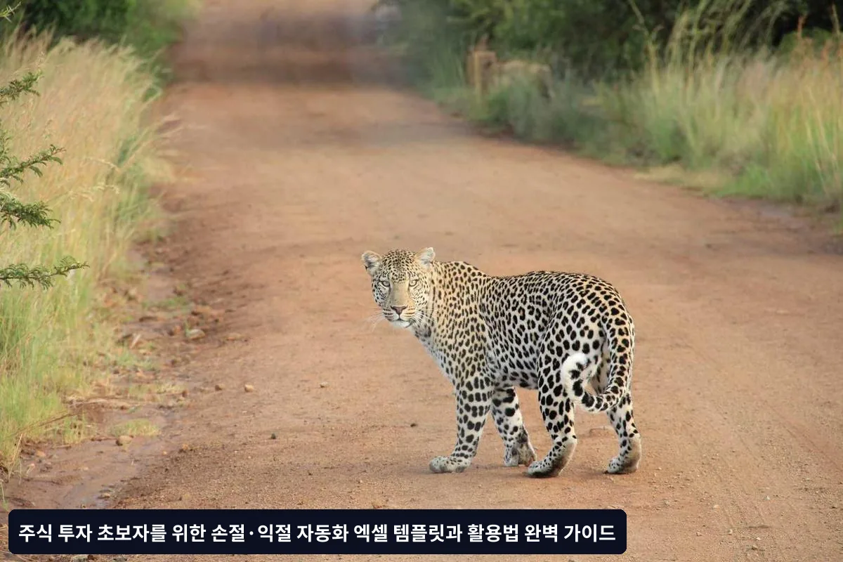 실전 활용 시 주의사항과 팁