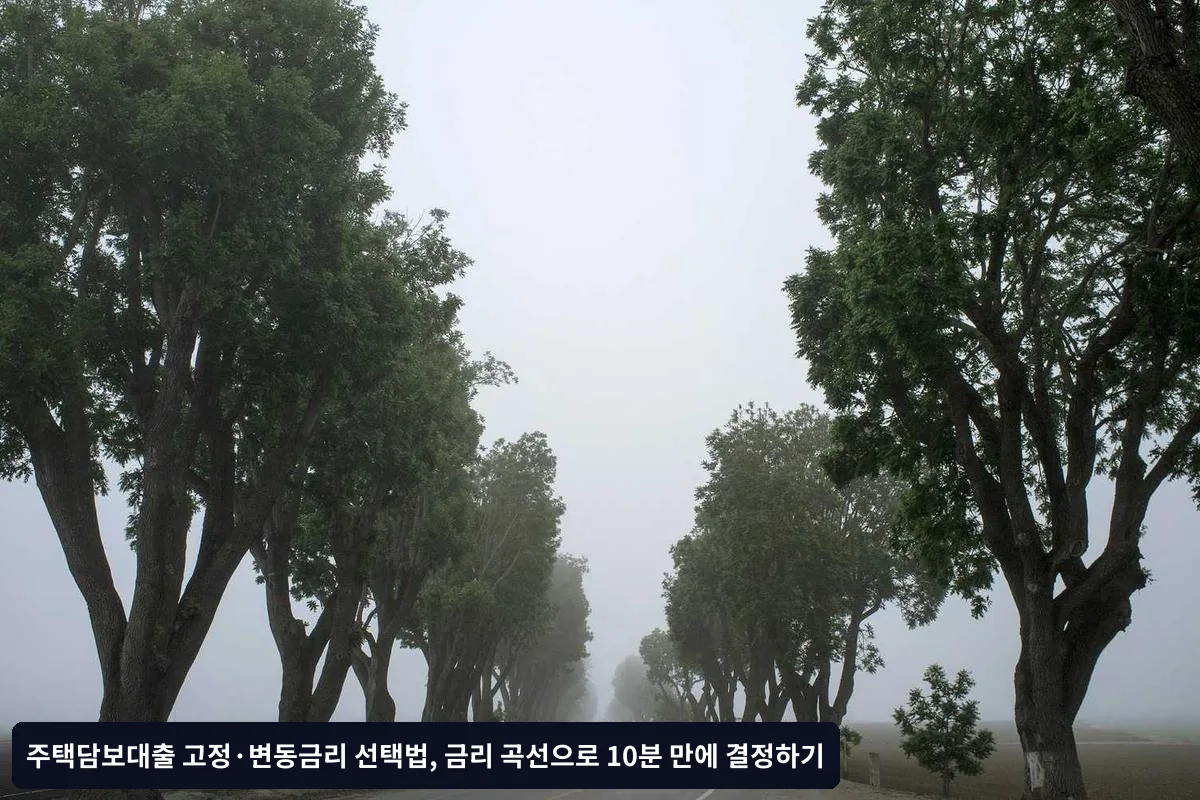 금리 곡선 분석을 통한 실제 결정 과정