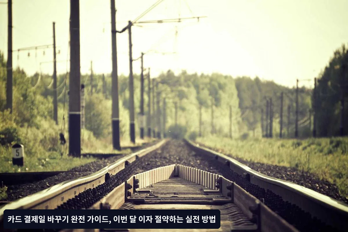 자주 묻는 질문 (FAQ)