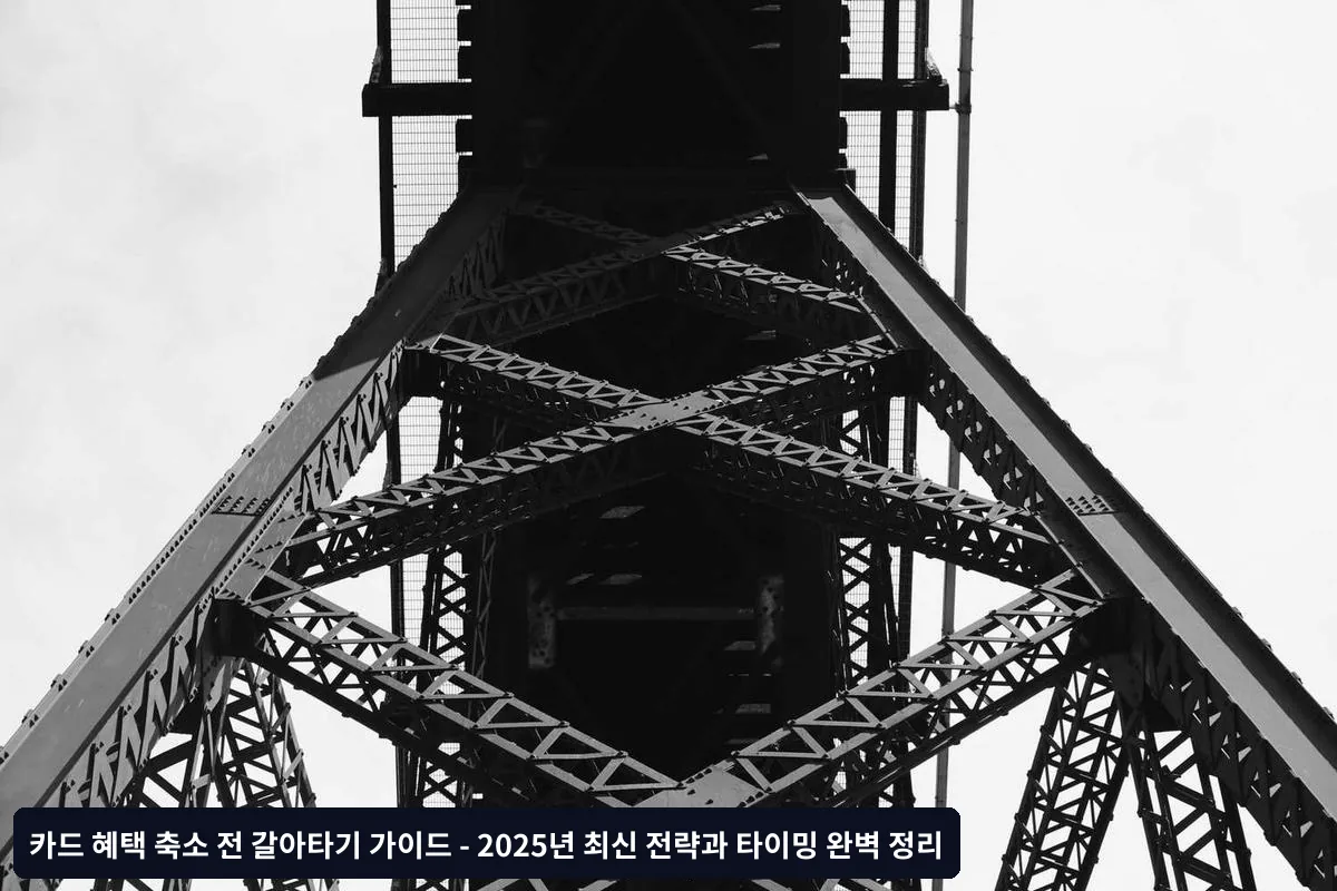 혜택 축소 발표 시 즉시 해야 할 3가지 행동