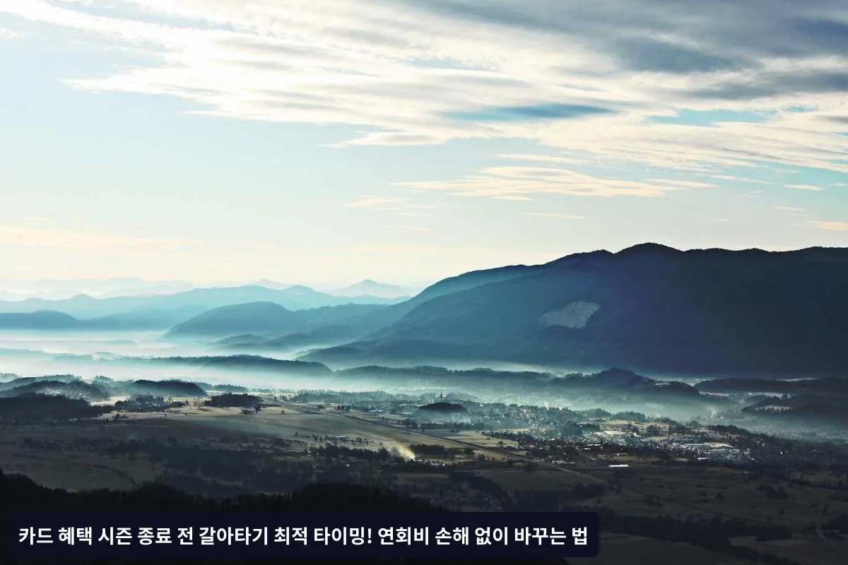 3단계: 해지 전 체크리스트 확인