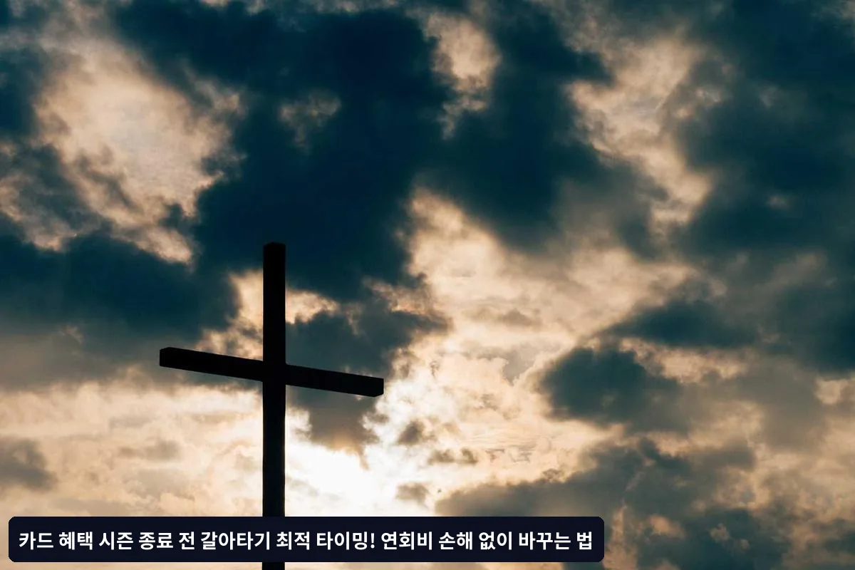 2. 휴면카드 전환 후 갈아타기