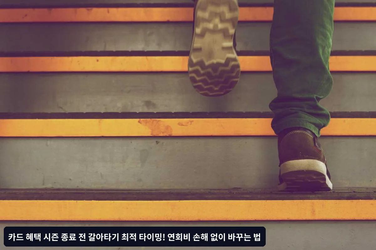 실패 사례: B씨의 신용점수 하락과 혜택 감소