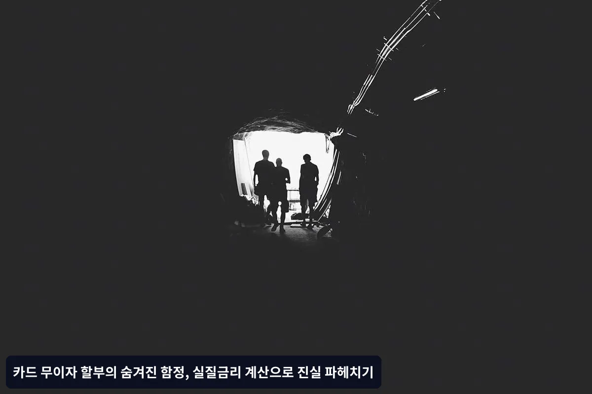 1. 진짜 무이자 할부 찾기