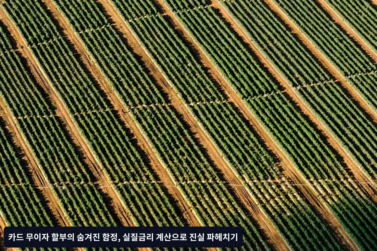 ✅ 대안 검토 체크리스트