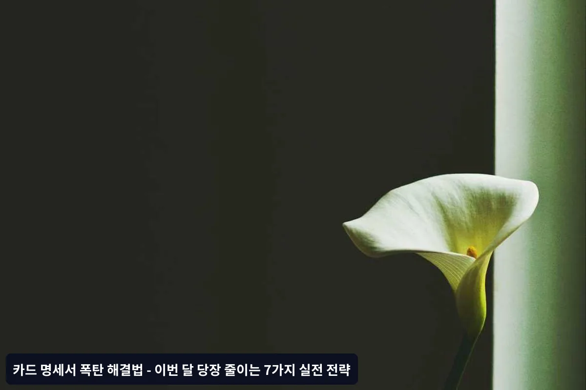 전략 7: 대안 활동 개발