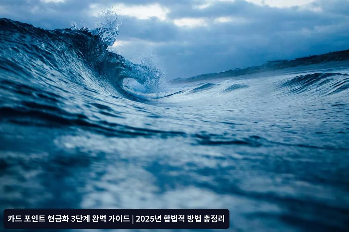 2단계: 상품권 교환을 통한 간접 현금화
