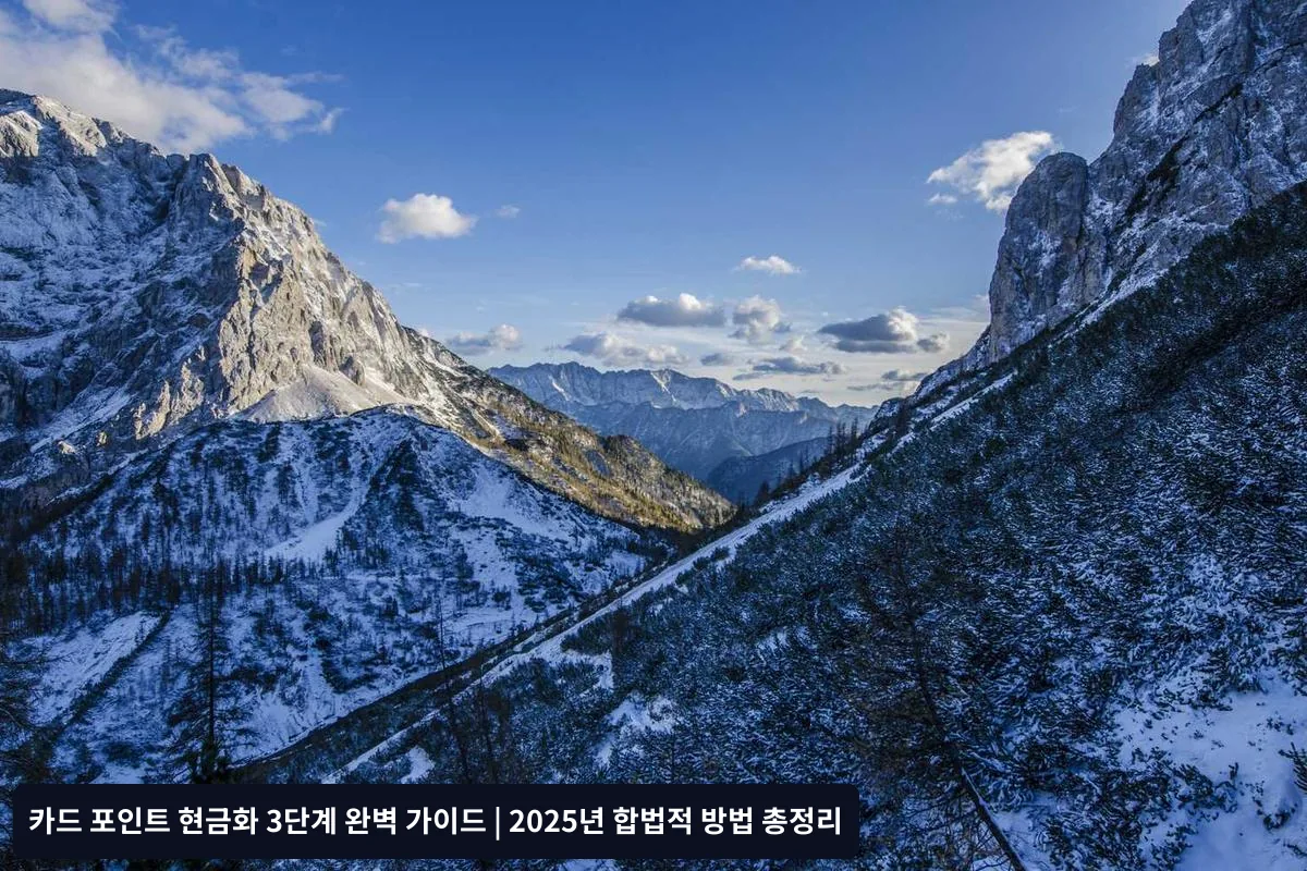 생활비 결제를 통한 실질적 현금화