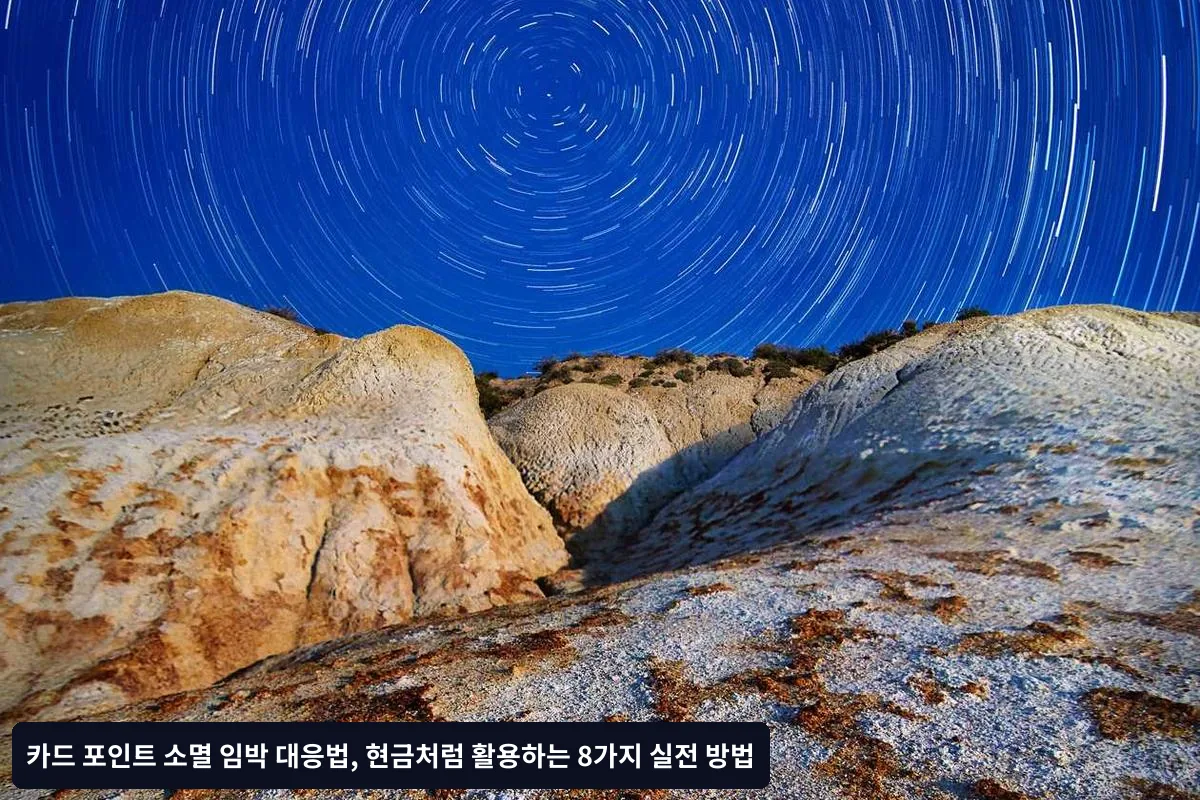 소멸 전 30일 점검 리스트